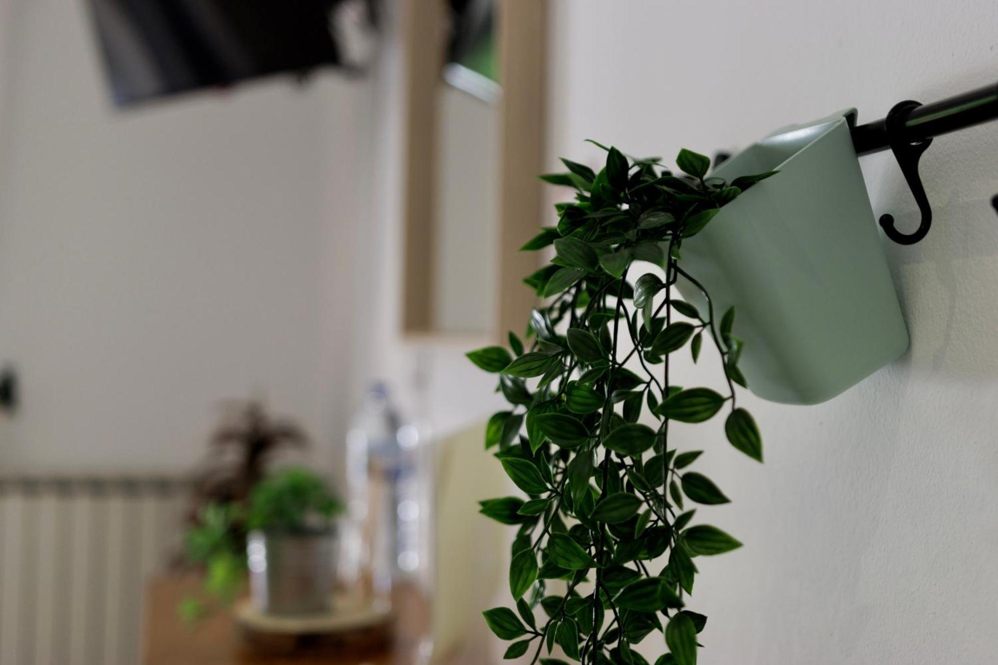 Homestay Quinta Da Falfeira Lagos