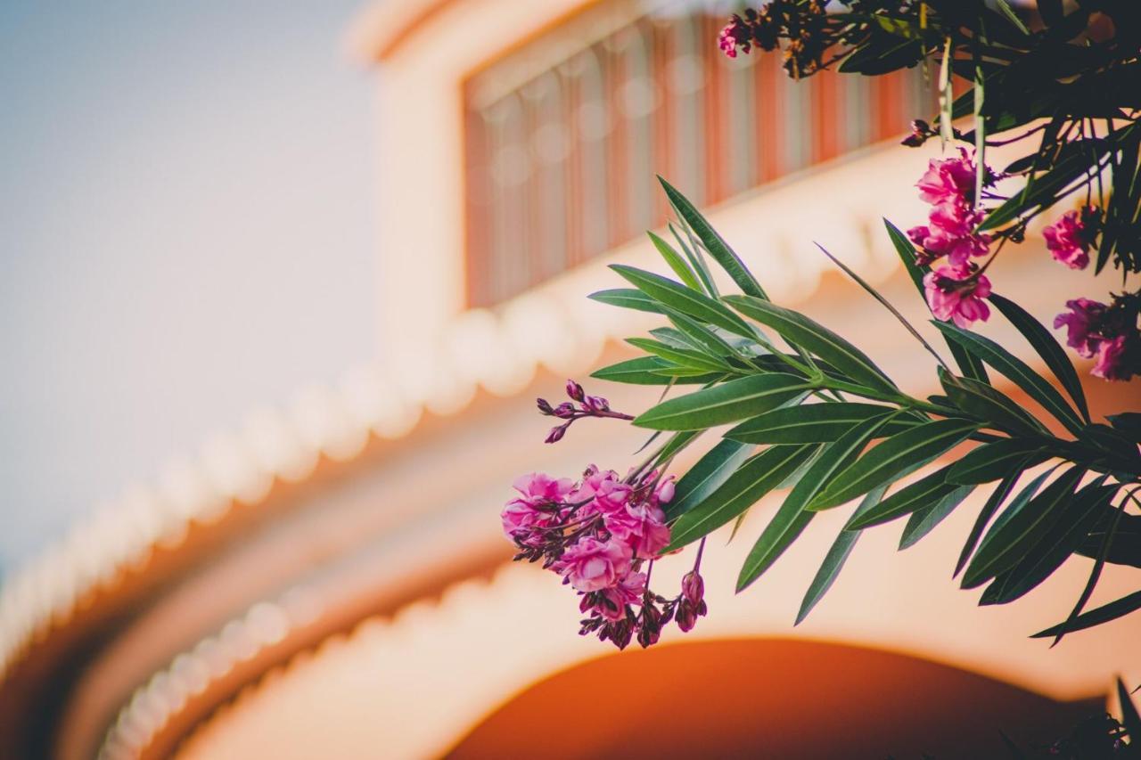 Quinta Da Falfeira Homestay Lagos